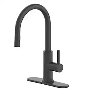 Allen+Roth Pull Down Faucet (Matte Black)